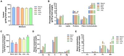 Changes in the nutrients, phytochemical profile and antioxidant activity of Rheum officinale Baill. leaf blades during different growth periods